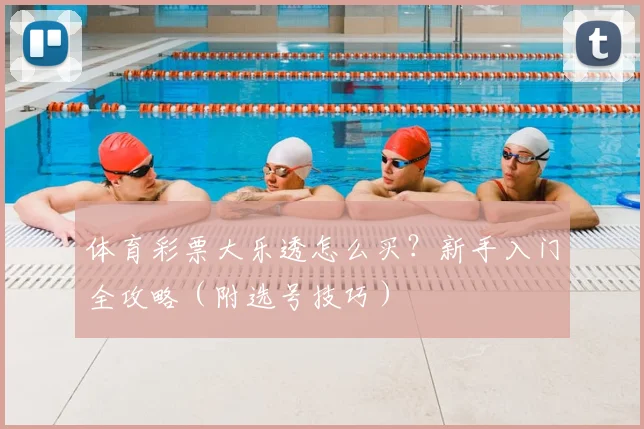 体育彩票大乐透怎么买？新手入门全攻略（附选号技巧）