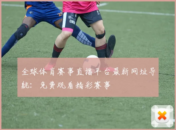 全球体育赛事直播平台最新网址导航：免费观看精彩赛事
