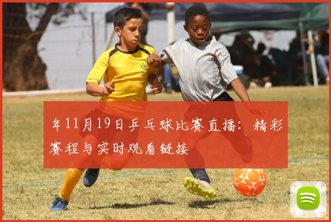 年11月19日乒乓球比赛直播：精彩赛程与实时观看链接