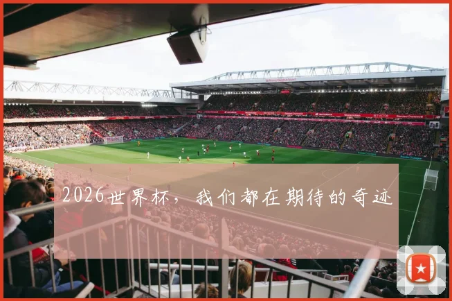 2026世界杯,我们都在期待的奇迹