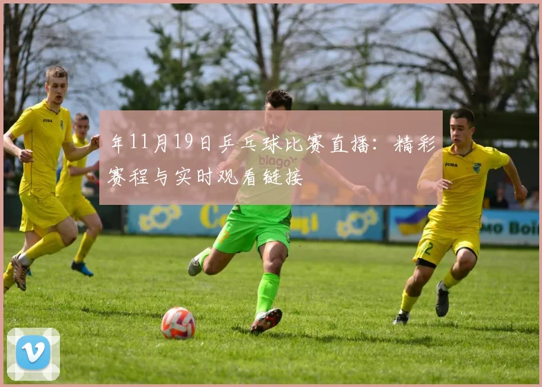 年11月19日乒乓球比赛直播：精彩赛程与实时观看链接